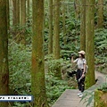 桃園景點-東眼山國家森林遊樂區 (5).jpg