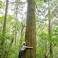 桃園景點-東眼山國家森林遊樂區 (15).jpg