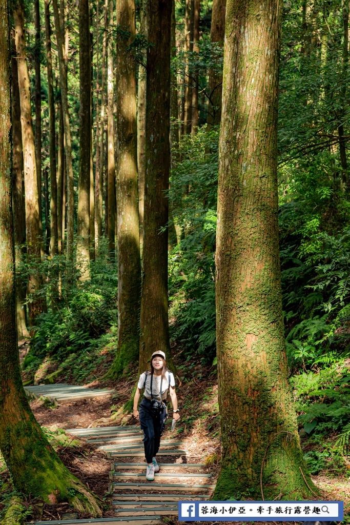 桃園景點-東眼山國家森林遊樂區 (16).jpg