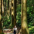 桃園景點-東眼山國家森林遊樂區 (16).jpg