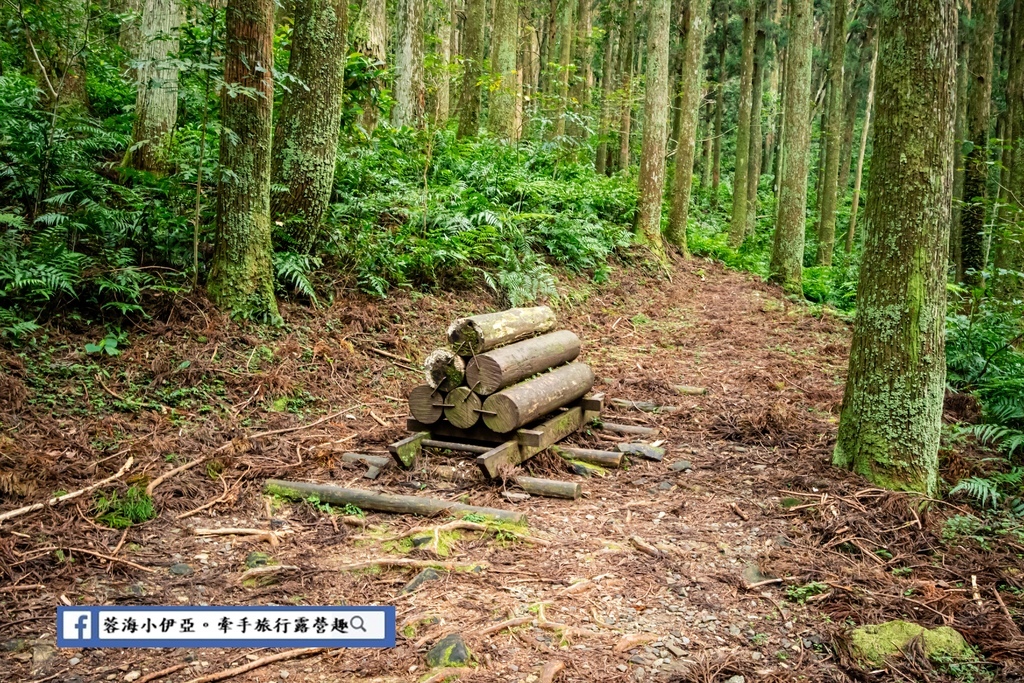 桃園景點-東眼山國家森林遊樂區 (28).jpg