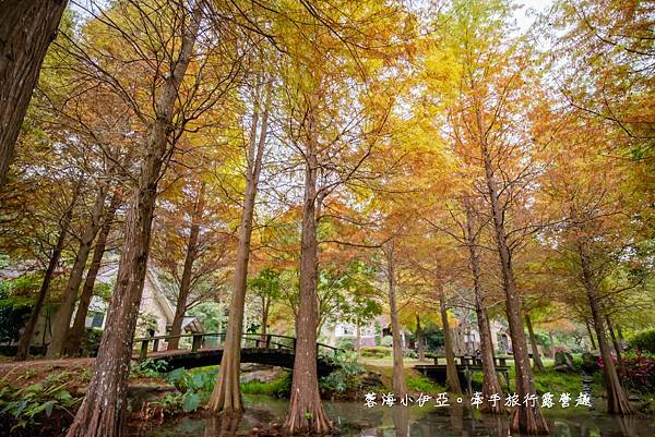 苗栗南庄露營區-水與樹莊園 (1).jpg