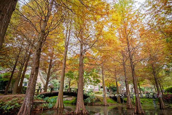 苗栗南庄露營區-水與樹莊園 (40).jpg