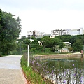 桃園平鎮鑊篤陂塘生態公園 (22).jpg