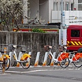2025北投三層崎花海盛開，彩色浪花漫遊北投！8萬株花卉齊放，假日賞花去(含交通)