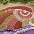 2025北投三層崎花海盛開，彩色浪花漫遊北投！8萬株花卉齊放，假日賞花去(含交通)