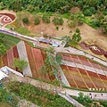2025北投三層崎花海盛開，彩色浪花漫遊北投！8萬株花卉齊放，假日賞花去(含交通)