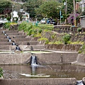 2025北投三層崎花海盛開，彩色浪花漫遊北投！8萬株花卉齊放，假日賞花去(含交通)