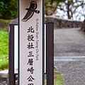2025北投三層崎花海盛開，彩色浪花漫遊北投！8萬株花卉齊放，假日賞花去(含交通)