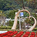 2025北投三層崎花海盛開，彩色浪花漫遊北投！8萬株花卉齊放，假日賞花去(含交通)