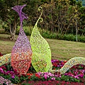 2025北投三層崎花海盛開，彩色浪花漫遊北投！8萬株花卉齊放，假日賞花去(含交通)