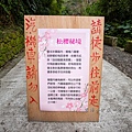 宜蘭冬山【松櫻秘境】居然有免費拍照的賞櫻秘境！種植500棵八重櫻和吉野櫻，櫻花鳥居秒飛日本