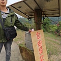 宜蘭冬山【松櫻秘境】居然有免費拍照的賞櫻秘境！種植500棵八重櫻和吉野櫻，櫻花鳥居秒飛日本