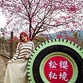 宜蘭冬山【松櫻秘境】居然有免費拍照的賞櫻秘境！種植500棵八重櫻和吉野櫻，櫻花鳥居秒飛日本