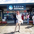 高雄楠梓【嘎逼&牛奶寵物互動園區】全新開幕！以寵物為主題的動物園，近距離餵食水豚、狐獴、巨型貴賓