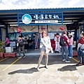 高雄楠梓【嘎逼&牛奶寵物互動園區】全新開幕！以寵物為主題的動物園，近距離餵食水豚、狐獴、巨型貴賓