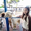 高雄楠梓【嘎逼&牛奶寵物互動園區】全新開幕！以寵物為主題的動物園，近距離餵食水豚、狐獴、巨型貴賓