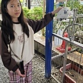 高雄楠梓【嘎逼&牛奶寵物互動園區】全新開幕！以寵物為主題的動物園，近距離餵食水豚、狐獴、巨型貴賓