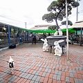 高雄楠梓【嘎逼&牛奶寵物互動園區】全新開幕！以寵物為主題的動物園，近距離餵食水豚、狐獴、巨型貴賓