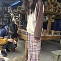高雄楠梓【嘎逼&牛奶寵物互動園區】全新開幕！以寵物為主題的動物園，近距離餵食水豚、狐獴、巨型貴賓