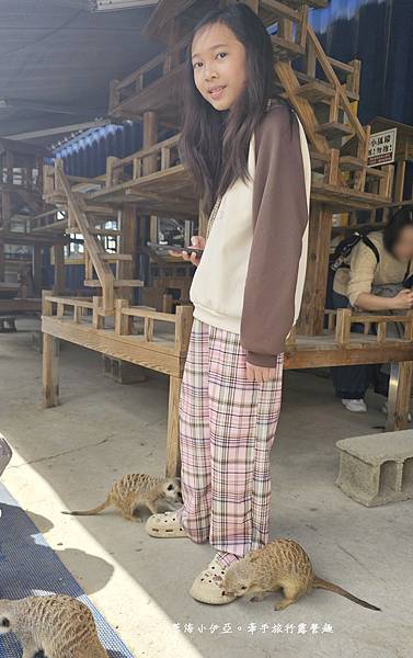 高雄楠梓【嘎逼&牛奶寵物互動園區】全新開幕！以寵物為主題的動物園，近距離餵食水豚、狐獴、巨型貴賓