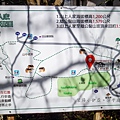 新竹五峰【2025山上人家森林農場櫻花季】最新櫻花季門票資訊，櫻花炸開！不用飛日本