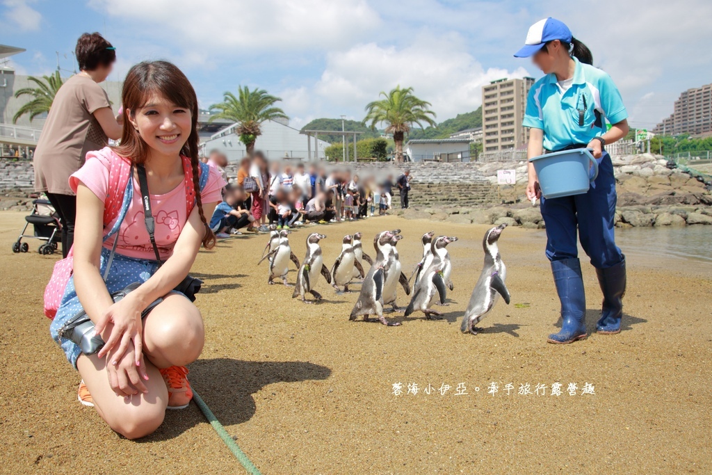 九州親子景點【長崎企鵝水族館】超近距離接觸企鵝！親子共遊的好地方