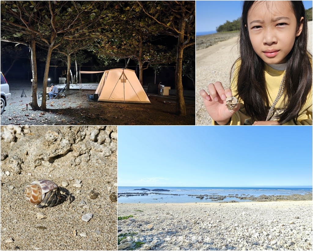 墾丁露營區【29觀海營區】走路就到萬里桐潮間帶看寄居蟹,森林系營位 墾丁露營區【29觀海營區】走路就到萬里桐潮間帶看寄居蟹,森林系營位