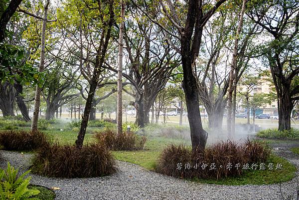 超美免門票景點【內惟森林親水河道】高雄市立美術館，夢幻自然迷霧森林（內惟埤文化園區）