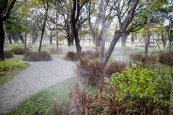 超美免門票景點【內惟森林親水河道】高雄市立美術館，夢幻自然迷霧森林（內惟埤文化園區）