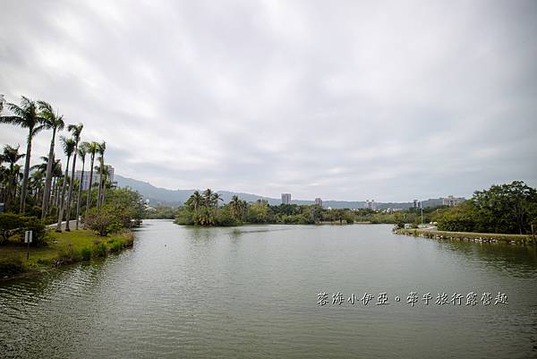 超美免門票景點【內惟森林親水河道】高雄市立美術館，夢幻自然迷霧森林（內惟埤文化園區）