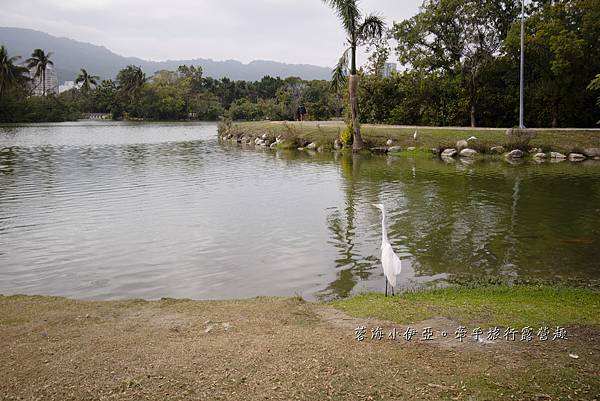 超美免門票景點【內惟森林親水河道】高雄市立美術館，夢幻自然迷霧森林（內惟埤文化園區）