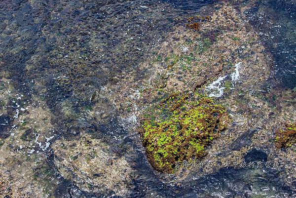 新北萬里秘境【萬里駱駝峰】5分鐘登頂台版土耳其烏奇沙城堡，絕美玫瑰紋絕美咖啡拉花岩