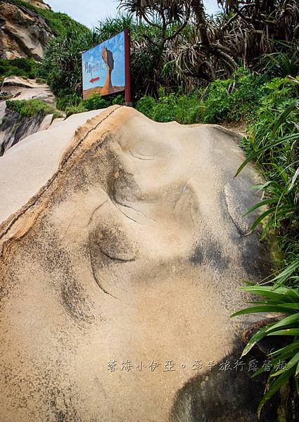 新北萬里秘境【萬里駱駝峰】5分鐘登頂台版土耳其烏奇沙城堡，絕美玫瑰紋絕美咖啡拉花岩