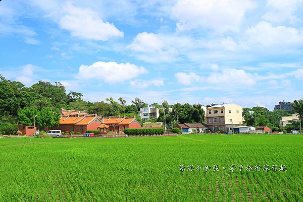 桃園【霄裡石母娘娘浣衣池】夏天戲水好去處，池水沁涼清澈終年不乾涸，大樹遮蔭不怕曬