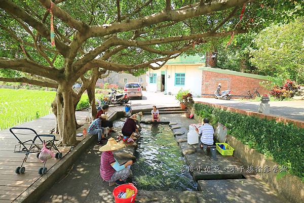 桃園【霄裡石母娘娘浣衣池】夏天戲水好去處，池水沁涼清澈終年不乾涸，大樹遮蔭不怕曬