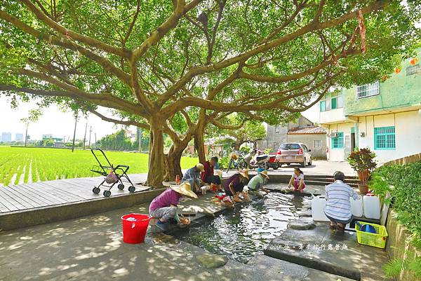 桃園【霄裡石母娘娘浣衣池】夏天戲水好去處，池水沁涼清澈終年不乾涸，大樹遮蔭不怕曬