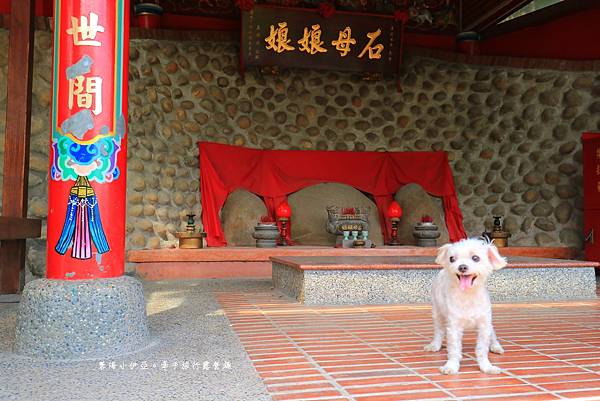 桃園【霄裡石母娘娘浣衣池】夏天戲水好去處，池水沁涼清澈終年不乾涸，大樹遮蔭不怕曬