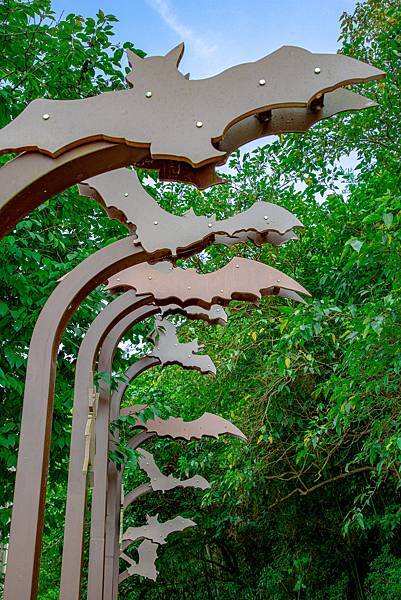 桃園復興【三民蝙蝠洞】夏天戲水秘境，免門票，彎月水濂洞穴，水岸瀑布，鬼斧神工的幽靜景觀