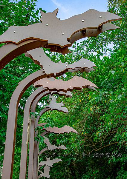 桃園復興【三民蝙蝠洞】夏天戲水秘境，免門票，彎月水濂洞穴，水岸瀑布，鬼斧神工的幽靜景觀