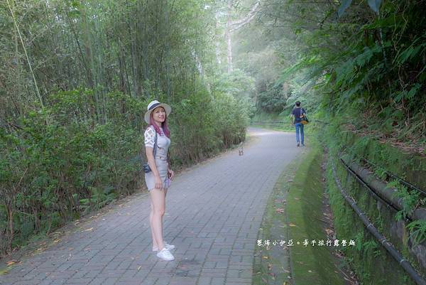 桃園復興【三民蝙蝠洞】夏天戲水秘境，免門票，彎月水濂洞穴，水岸瀑布，鬼斧神工的幽靜景觀