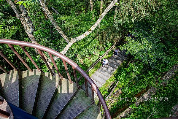 桃園復興【三民蝙蝠洞】夏天戲水秘境，免門票，彎月水濂洞穴，水岸瀑布，鬼斧神工的幽靜景觀