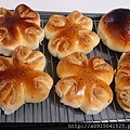 105-03-03奶酥、花生麵包.jpg