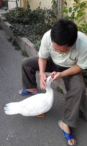 11203062_462952513864618_5075143275028832177_n 試用
