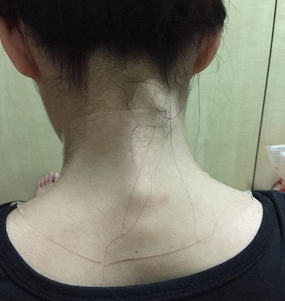 13479722_1188779207807150_1612942325_n 試用