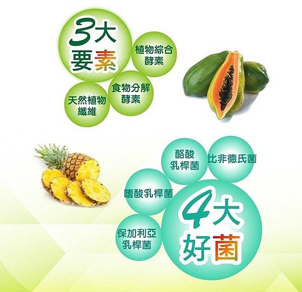 03 試用