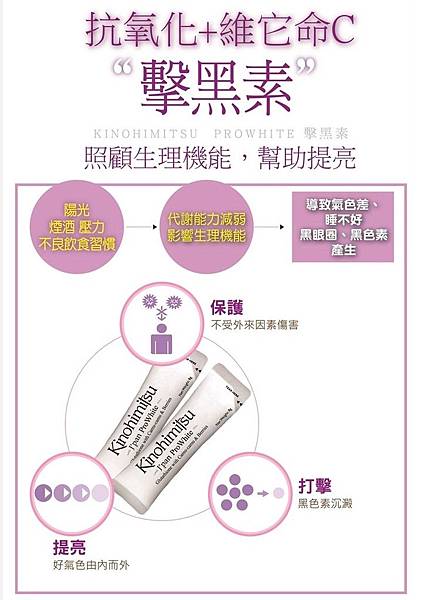 試用