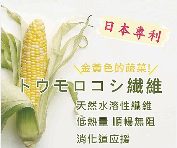 EDM04 試用
