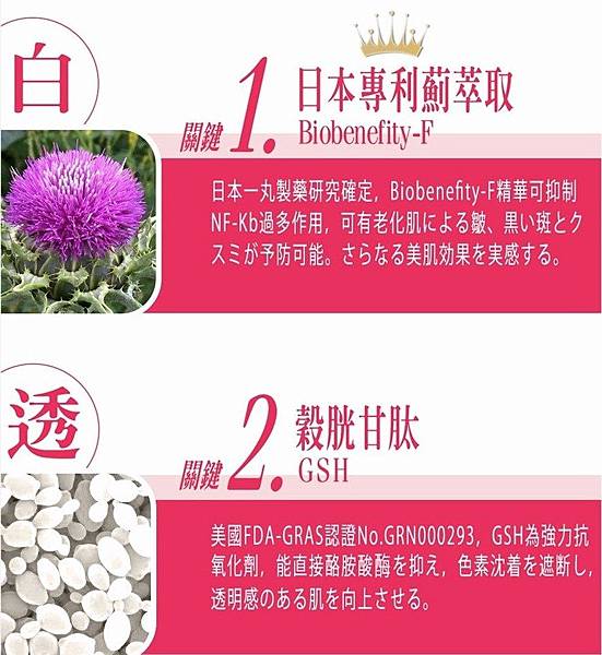 EDM11 (1) - 副本 試用