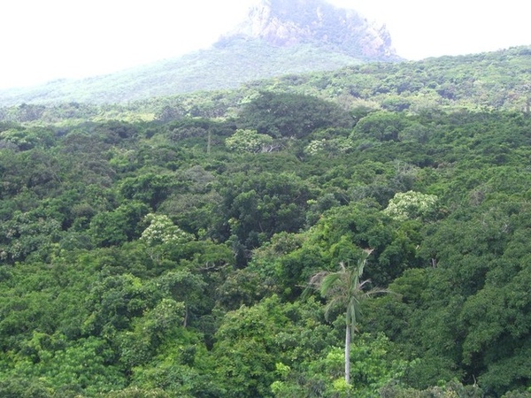 這叫做山